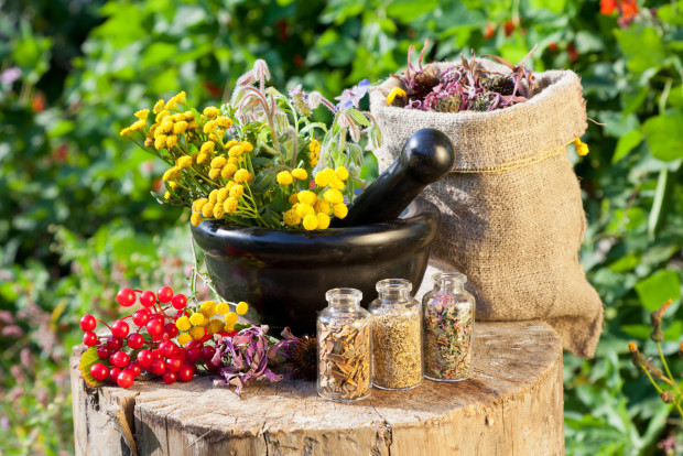 healing herbs in mortar and in sack herbal medicine